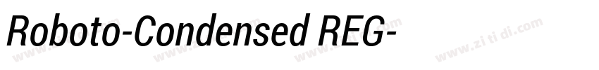 Roboto-Condensed REG字体转换